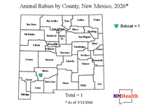 Photo of the health data cover.