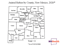 Photo of the health data cover.