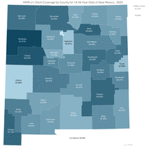 Photo of the health data cover.