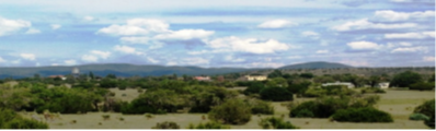 Photo of FBMC Landscape.