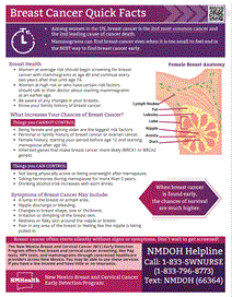 Photo of the publication cover.