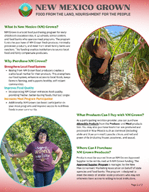 Photo of the publication cover.