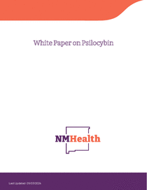 Photo of the publication cover.