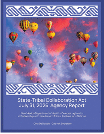 Photo of the publication cover.