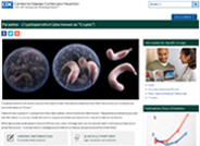 This Center for Disease Control page focuses on the microscopic parasite, Cryptosporidium (which causes the disease, cryptosporidiosis). 